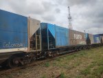 RUMO HPT-030579-1